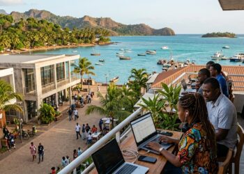 Numerique a Mayotte : Connectivite et Outils pour les Entreprises